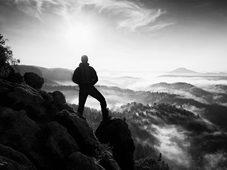 Hiker stand at heather bush on corner of empire bellow pine tree. Man is watching over the misty and foggy morning valley to Sun