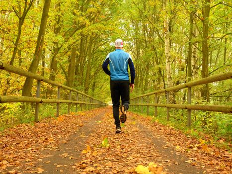 Sportsman in blue t-shirt and black trousers run on road. The man is slowly running on asphalt way covered by autumn leaves. Pathway in park, beeches and maples leaves. 