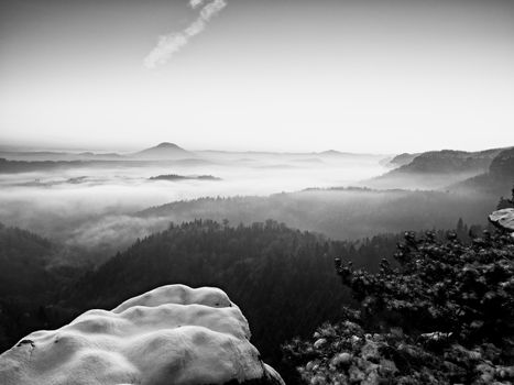 Fall morning mist. The sandstone cliff above treetops of forest valley, daybreak, Sun at horizon. Hills increased from foggy background. Black and white photo