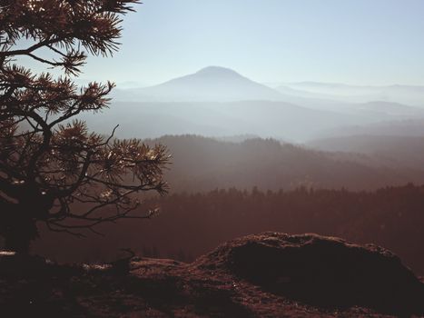 View through trees to misty valley within spring daybreak. Foggy and misty morning on the sandstone view point in national park.