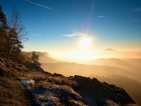 Cold golden spring daybreak. Snow on ground. Peaks of forests increased from the yellow and orange fog with sun rays. 