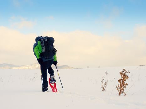 Man cleaning snowshoe. Hiker in green gray winter jacket and black trekking trousers walk in snowy filed. Snowshoeing in powder snow. Cloudy winter day, gentle wind brings small snow flakes