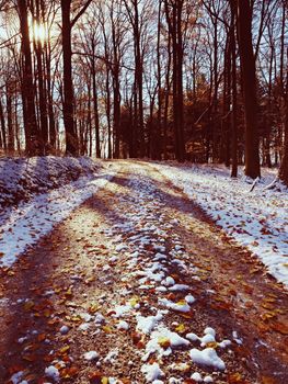 First snow on colorful leaves. Autumnal nature.  Road in autumn wood.