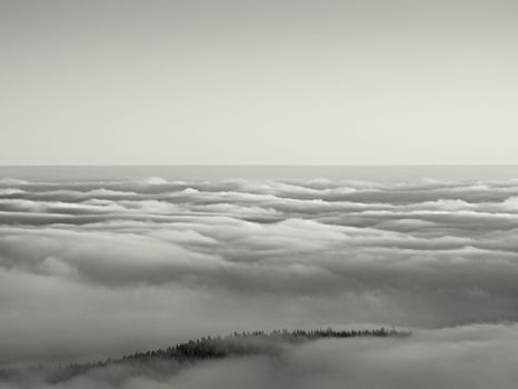 Misty valley in winter mountains. Peaks of  mountains above creamy mist.  Inverse weather, shinning fog.