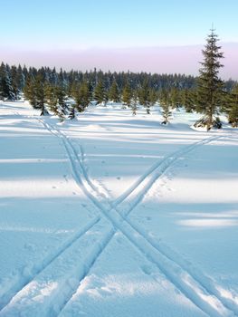 Two ways for cross country skiing in winter mountains. Wintry landscape with cross country skiing ways between trees. 