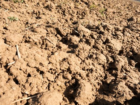 Dry dusty clay on the field. Empty plowed field waits for sowing. Dust from the dry clay wind blowing away. Hot spring day in the field