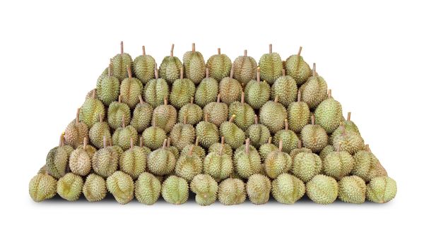Pile of Durian, Durian fruit heap for sale, Durian is king of fruits southeast Thailand, Durian many on white background