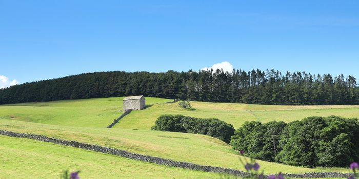 A view across the Cumbria countryside in the English Lake District National Park in Northern England.  The view is close to the village of Dacre.