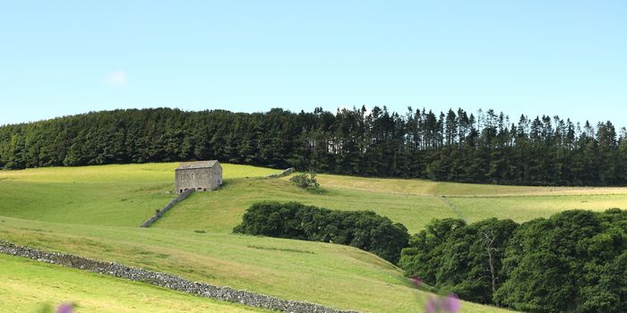 A view across the Cumbria countryside in the English Lake District National Park in Northern England. The view is close to the village of Dacre.