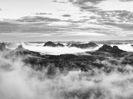Misty morning after heavy rain. View into long deep valley full of fresh spring mist. Fall landscape within daybreak after rainy night. Black and white photo