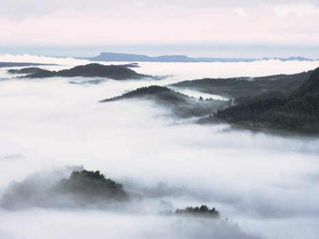 Heavy mist in landscape. Magnificent  autumn creamy fog in countryside. Hill increased from fog, the fog is colored to gold and blue