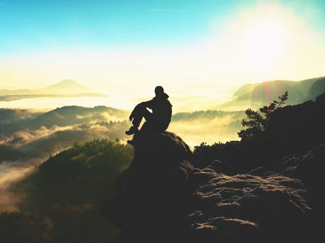 Man tourist sit on exposed rock. View point with heather and branches above misty valley. Sunny daybreak in rocky mountains.