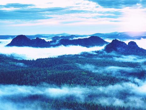Fairy daybreak in a beautiful hills. Peaks of hills are sticking out from foggy background, the fog is yellow and orange due to sun rays. The fog is swinging between trees.