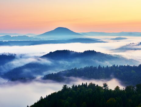Autumn landscape. Gentle  mist in hilly land. Magnificent autumn creamy fog above forests. High hill increased from fog