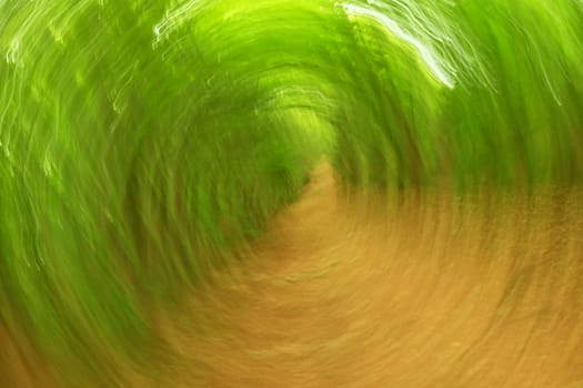 Defocused forest circle background. Blurred and de focused fresh green colors in forest, orange leaves on path. Hypnotic blurry effect.