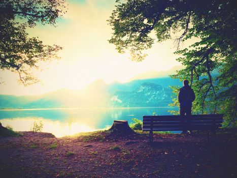 Man in green outdoor windcheater walk at lake bank.  Empty wooden bench, tree stump at mountain lake. Bank under beeches tree, mountains at horizon and in water mirror