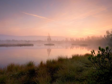 Grass on mountain lake bank,  island in middle. Purple morning with peaceful water level in mysterious forest. Fresh green color of herbs and grass, heavy clouds in sky.