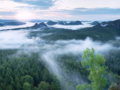 Marvelous daybreak. Misty awakening in a beautiful hills. Peaks of hills are sticking out from foggy background, the fog is red and orange due to Sun rays. 