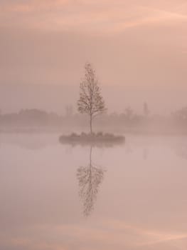 The  island in middle of l mountain ake. Purple morning with peaceful water level in mysterious forest. 