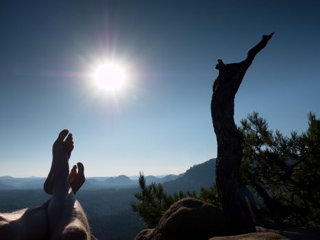 Naked male sweaty legs on peak of rock at broken pine tree. Hot windless summer day. Man take a rest on the treeking trip.