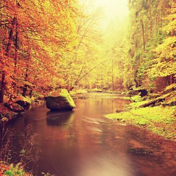 Autumn mountain river with blurred waves, mossy stones and boulders on bank covered with colorful leaves from maples, beeches or aspens tree. 