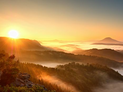 Autumn sunrise above above forest,  fall colorful valley full of dense mist colored with hot sun rays. Foggy strips between treetops between hills.