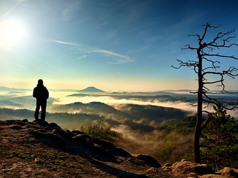 Hiker stand at heather bush on corner of empire bellow pine tree. Man is watching over the misty and foggy morning valley to Sun