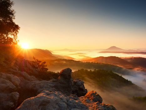 Beautiful autumnal landscape with mountain view,  morning foggy valley within sunrise. Foggy strips between treetops between hills.