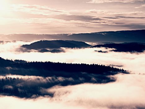 Autumn sunrise above above forest, fall colorful valley full of dense mist colored with hot sun rays. Foggy strips between treetops between hills.