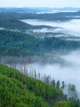 Magnificent heavy mist in landscape. Autumn creamy fog in countryside. Hill increased from fog, the fog is colored to gold and blue