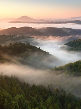 Autumn sunrise above above forest,  fall colorful valley full of dense mist colored with hot sun rays. Foggy strips between treetops between hills.