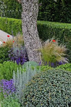 Corner of a garden growing herbs and flowers