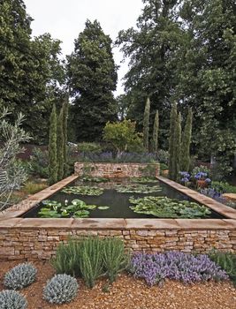 An attractive water garden with water lilies in a woodland setting of Cyprus trees