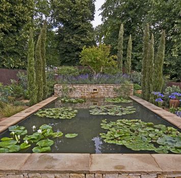 An attractive water garden with water lilies in a woodland setting of Cyprus trees