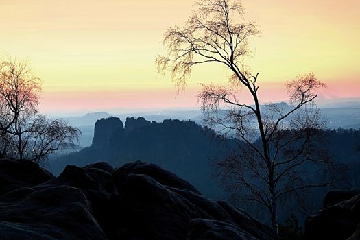 Deep misty valley within sunset. Foggy and misty moment on sandstone view point in national park Saxony Switzerland in Germany.