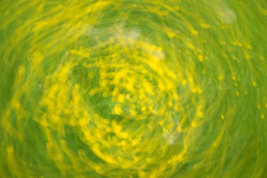 Defocused flowers and grass in circle background. Blurred and de focused yellow blossom and green grass stalks. Hypnotic blurry effect.