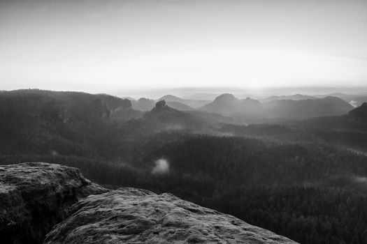 Misty awakening in beautiful mountains park. Peaks of hills are sticking out from foggy background