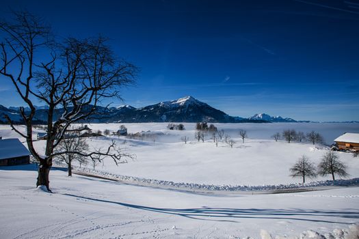 winter landscape Zugerberg with Rigi and Pilatus and blue sky