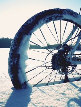 Mountain bike stay in powder snow. Lost path  in deep snowdrift. Rear wheel detail. Snow flakes melting on dark off road tyre.  Winter weather in the field.