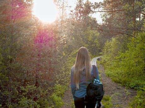 view of beautiful woman traveler standing in forest, Estonia. lifestyle tourist girl backpack standing with smartphone , explorirng directions. Vacation concept, summer time. Toned image. Sunset