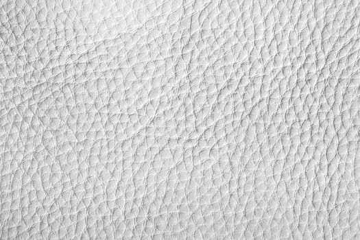 White leather texture. Abstract background for design with copy space.