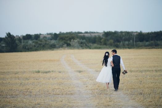 The bride and groom hold hands, hug each other and walk in the park. wedding. High quality photo