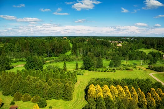 Different kinds of plants and trees in arboretum