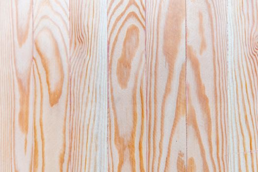 texture of wood on freshly cut flat surface.