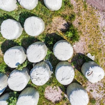 Round bales with silage as animal feed, wrapped in foil, vertical aerial view from above, made with drone