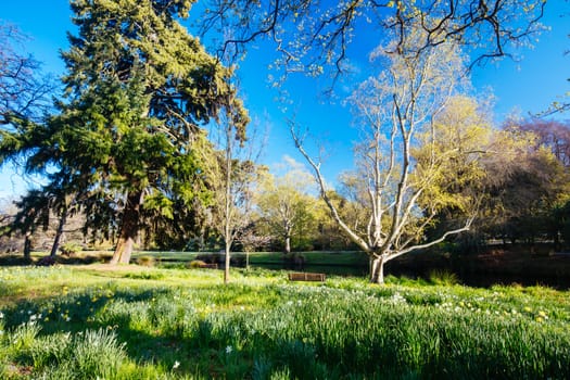 The popular tourst attraction of Christchurch Botanic Gardens on a warm spring day in New Zealand