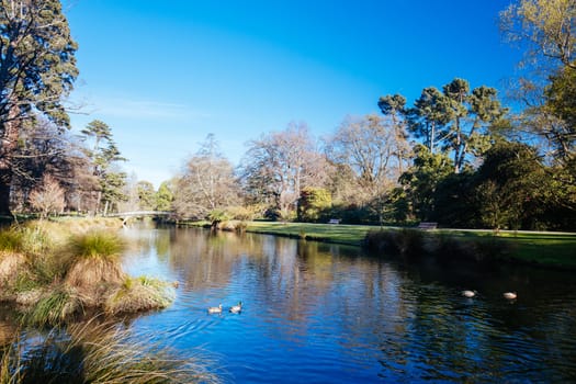 The popular tourst attraction of Christchurch Botanic Gardens on a warm spring day in New Zealand