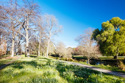 The popular tourst attraction of Christchurch Botanic Gardens on a warm spring day in New Zealand