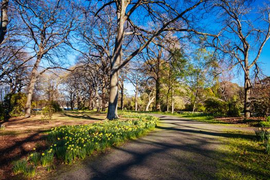 The popular tourst attraction of Christchurch Botanic Gardens on a warm spring day in New Zealand