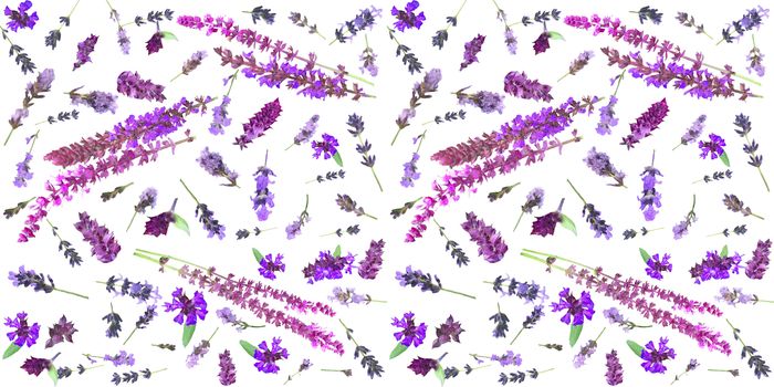 Flower pattern of wildflowers. Composition of lavender and sage flowers and herbs. Top view. Floral abstract background isolated on white background.   